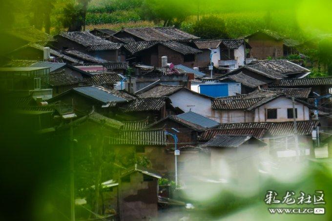 战僵特警
